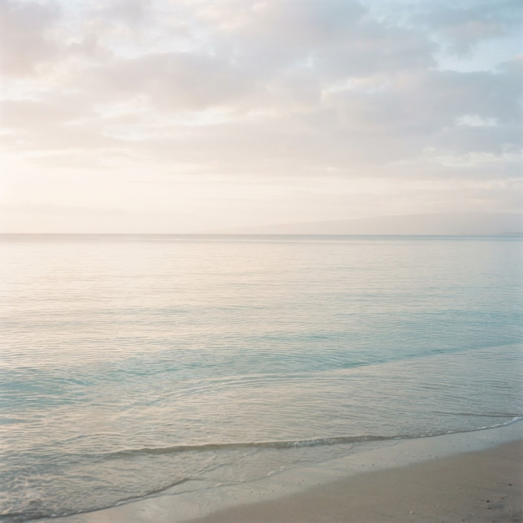 穏やかな海の風景